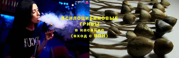 apvp Абдулино