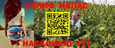СК Абакан