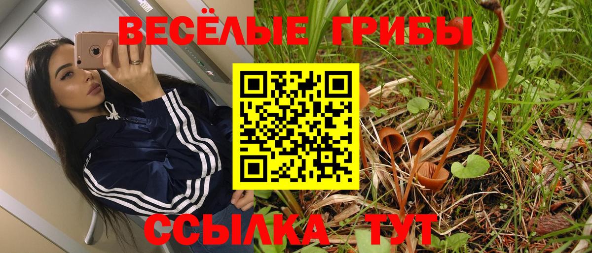 Галлюциногенные грибы Magic Shrooms Абинск